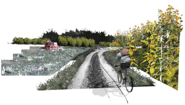 Triadă Transilvania / Uniprojekt am Lehrstuhl für Landschaftsarchitektur regionaler Freiräume an der TUM / Matthias mit Mira Groos und Marian Bachmaier / 2016