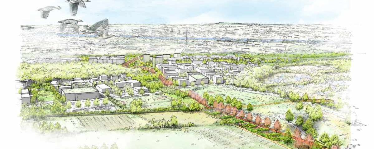 Workshopverfahren STADTLANDSCHAFT OSTFELD in Wiesbaden / für Hähnig | Gemmeke Architekten / 2024