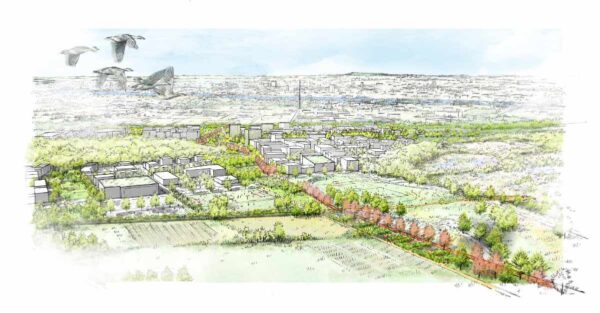 Workshopverfahren STADTLANDSCHAFT OSTFELD in Wiesbaden / für Hähnig | Gemmeke Architekten / 2024