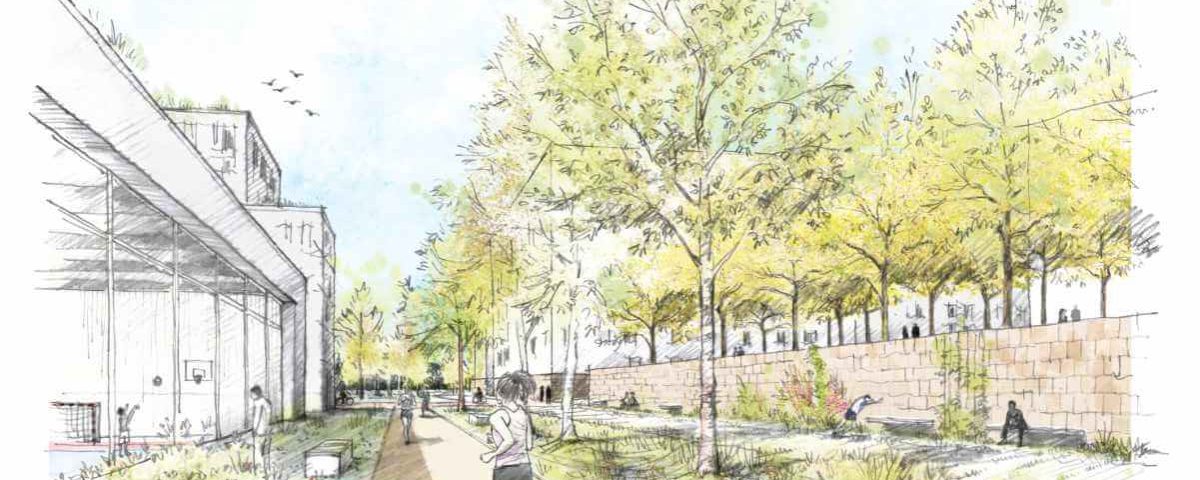 Workshopverfahren STADTLANDSCHAFT OSTFELD in Wiesbaden / für Hähnig | Gemmeke Architekten / 2024