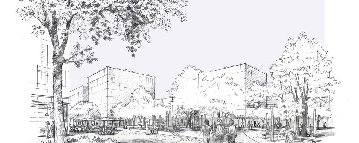 Siemens Campus Erlangen / für liebald+aufermann landschaftsarchitekten und stadtplaner und BLAUWERK Architekten / 2024