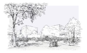 Siemens Campus Erlangen / für liebald+aufermann landschaftsarchitekten und stadtplaner und BLAUWERK Architekten / 2024