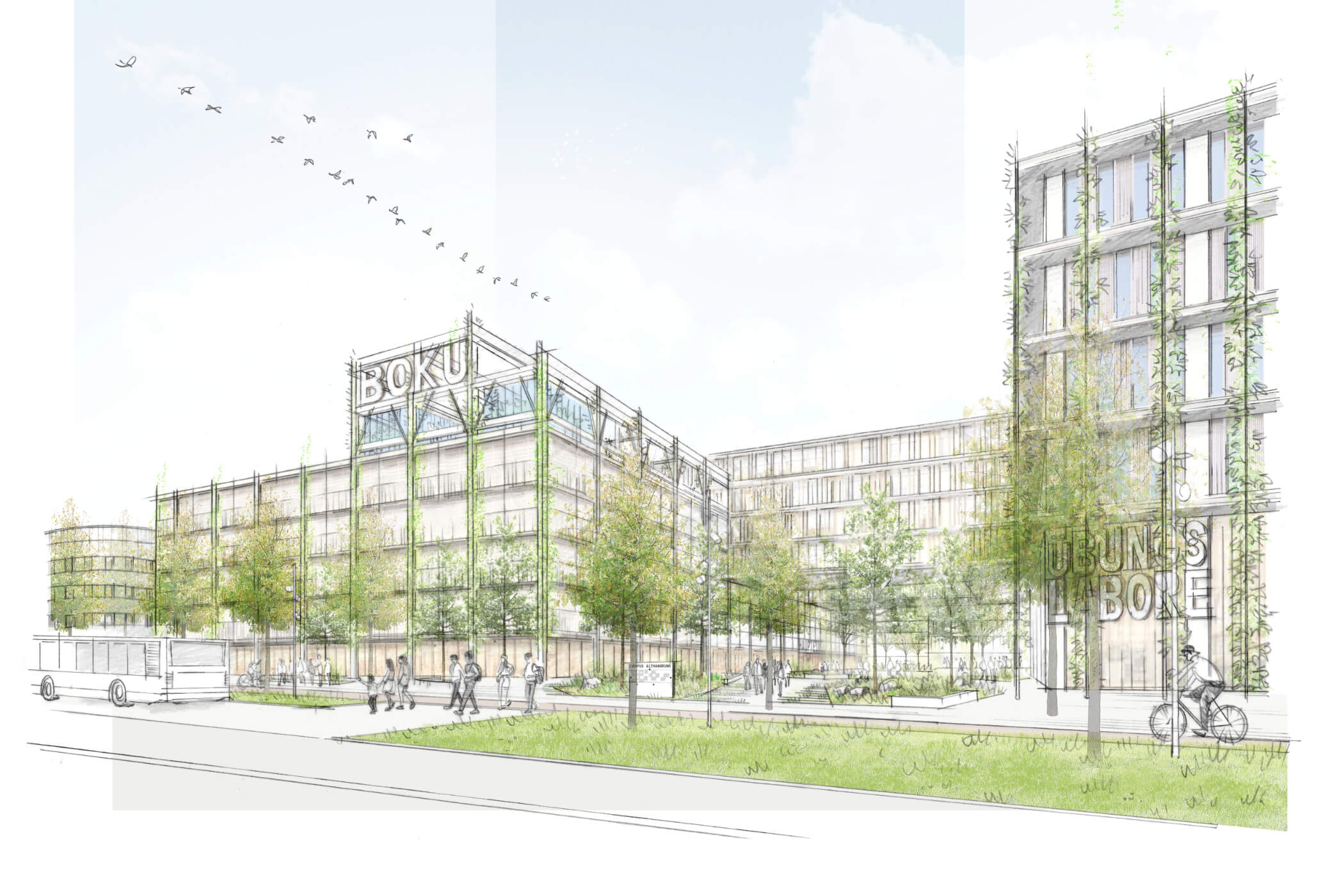 Althangründe Wien / für Albert Wimmer ZT / 2025