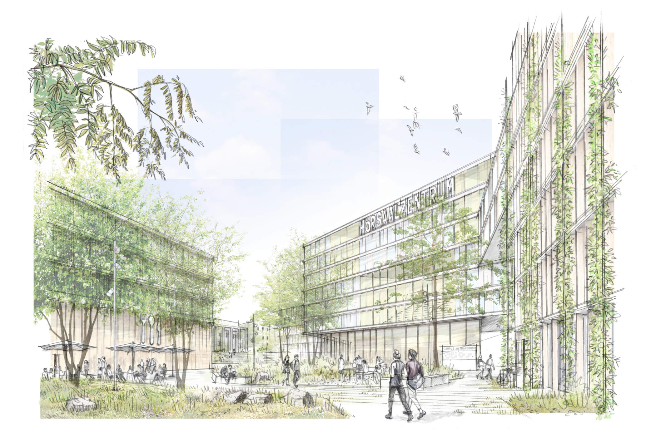 Althangründe Wien / für Albert Wimmer ZT / 2025